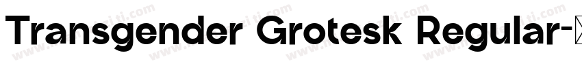 Transgender Grotesk Regular字体转换